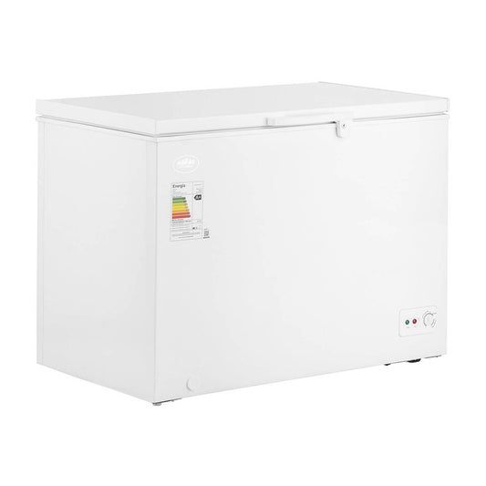 Freezer Z300D