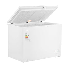 Freezer Z300D