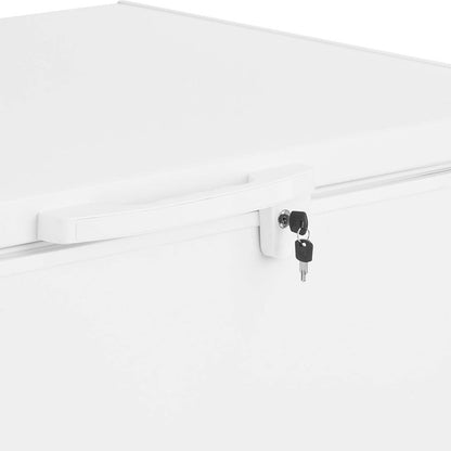 Freezer Z300D