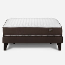 Cama Europea New Ergo T 2 Plazas