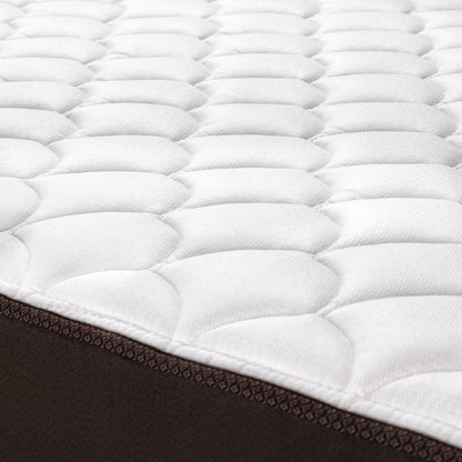 Cama Europea New Ergo T 2 Plazas Base Divida + Muebles Ferrara